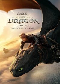 Dragon Dragon